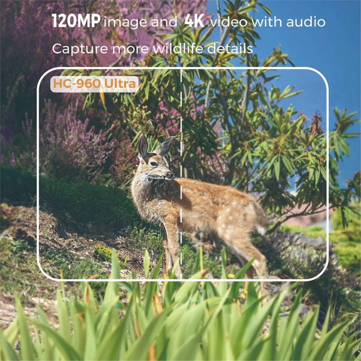 更新しました。 屋外用4G 120MP 4Kライブショー対応 - Hunting And Outdoor Shows のレビューと価格